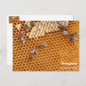 Abeilles domestiques sur carte postale de la ruche (Devant / Derrière)