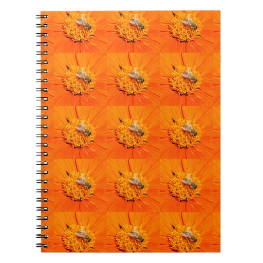 abeilles sur carnet orange (Devant)