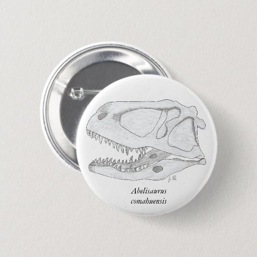Abelisaurus comahuensis schedelknop ronde button 5,7 cm (Voorkant /achterkant)