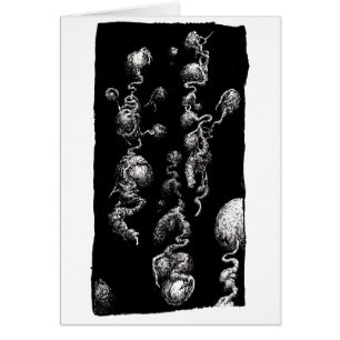 Aberrations flottantes,