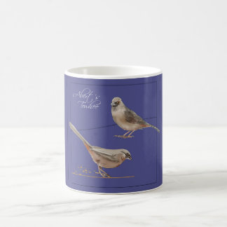 Abert's Towee Koffiemok