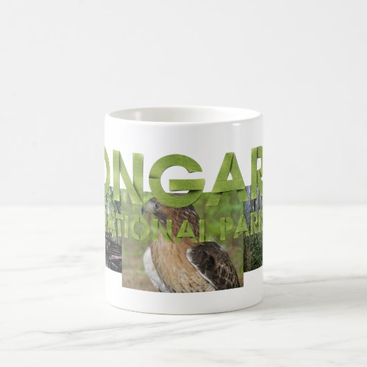 ABH Congaree NP Mug (Centre)
