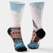 ABH Fort Sumter Sokken (Gebogen)