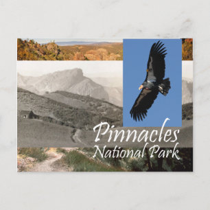 ABH Pinnacles NP Briefkaart