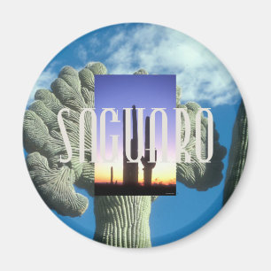 ABH Saguaro Magneet