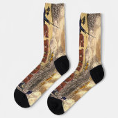 ABH Shiloh Sokken (Links)