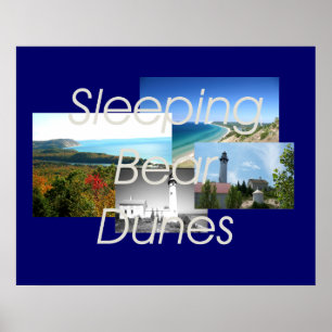 ABH Slapende Beer Dunes Poster