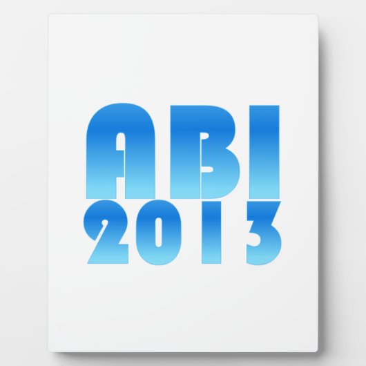 ABI 2013 FOTOPLAAT (Voorkant)