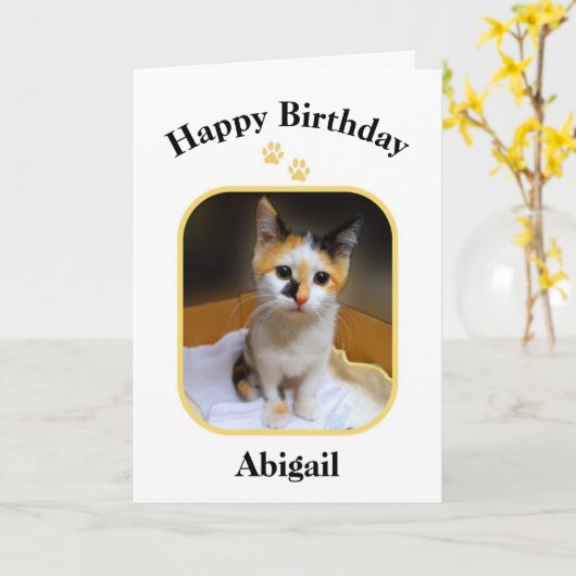 Abigail Calico Kitten Happy Birthday Kaart (Gele Bloem)