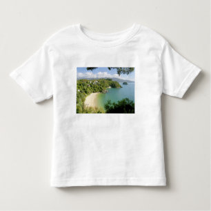 Able Tasman NP, Nelson, Nieuw-Zeeland. De vele Kinder Shirts