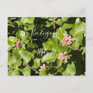 aBloomingCalifornië: Bee Engaged! Briefkaart