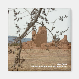 Abo RuinsSalinas Pueblos Nationale Ma... Magneet