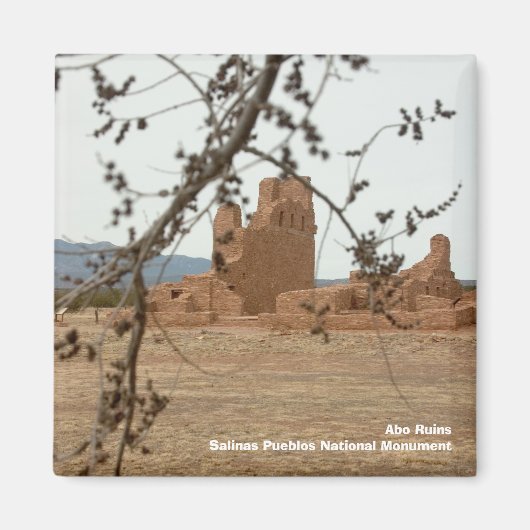Abo RuinsSalinas Pueblos Nationale Ma... Magneet (Voorkant)