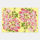 Abondance Rosy sur le jeu de papier d'emballage (Devant 2)