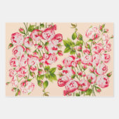 Abondance Rosy sur le jeu de papier d'emballage (Devant)