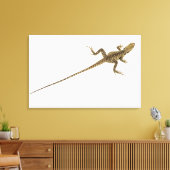 Aboreale agamidesoorten in het oosten canvas afdruk (Insitu (Woonkamer))