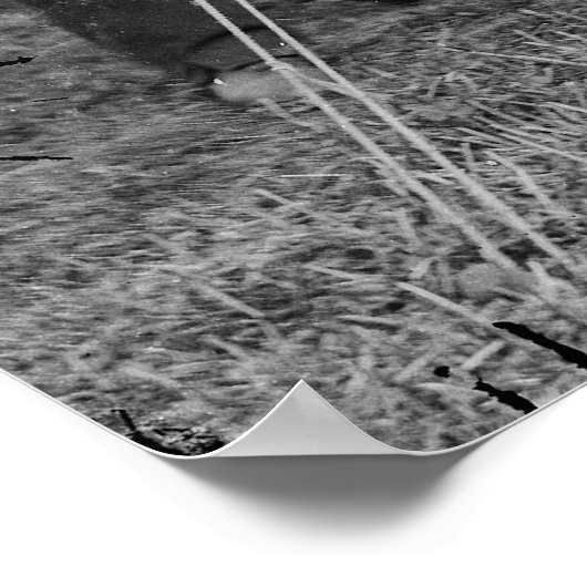 Abraham Lincoln Allan Pinkerton John A. McClernand Poster (Hoek)