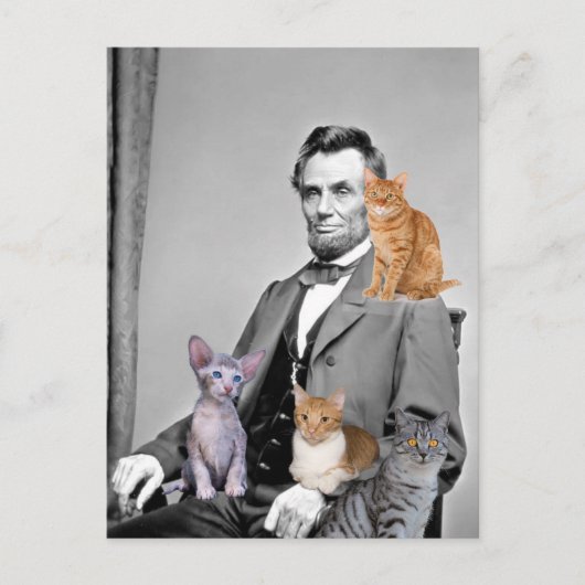 ABRAHAM LINCOLN CAT LOVER BRIEFKAARTEN (Voorkant)