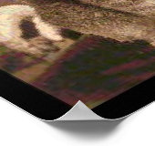 Abraham Lincoln en zijn kat "Dixie" Poster (Hoek)