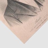 Abraham Lincoln Verkozen President 1860 Lithograaf Tissuepapier (Detail)