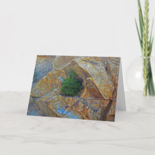 Abri de la carte de voeux de la saison des tempête