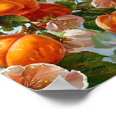 Abrikoos waterverf poster (Hoek)