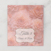 Abrikozen Crush Succulente Kleuren (Buitenkant ongevouwen)