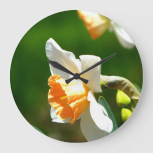 Abrikozen Daffodil Wall klok