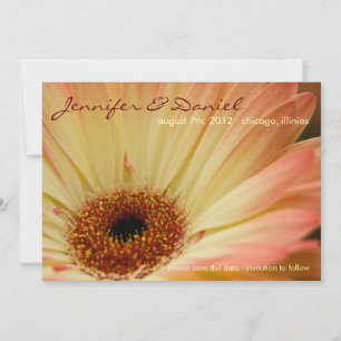 Abrikozen Gerbera • Sla de datum op aankondiging