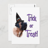 Abrikozen Mastiff Trick Briefkaart (Voorkant / Achterkant)