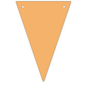 Abrikozen Oranje bannervlaggen Vlaggetjes (Eerste vlag)