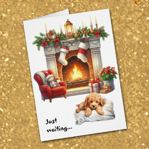Abrikozen Poodle Puppy Hond Wacht op Kerstmis
