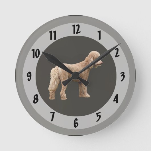 Abrikozen Poodle Ronde Klok (Voorkant)