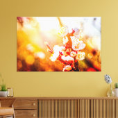 Abrikozen Sakura-bloemen in het licht van de staan Canvas Afdruk (Insitu (Woonkamer))