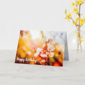 Abrikozen Sakura-bloemen in het licht van de staan Kaart (Gele Bloem)