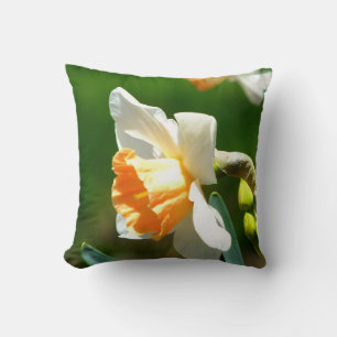 Abrikozen Sierkussen Daffodil