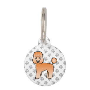 Abrikozen Toy Poodle Lieve Cartoon Hond & Info ove Huisdierpenning