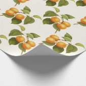Abrikozenafdrukken Cadeaupapier (Hoek)