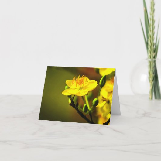 Abrikozenbloesem All Occasion Notecard Bedankkaart (Voorkant)