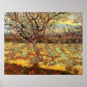 Abrikozenbomen in bloei door Vincent van Gogh Poster