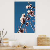 Abriot bloesems poster (Keuken)