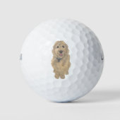 Abriot Golden Doodle Golfballen (Voorkant)