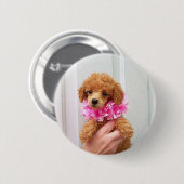 Abriot Poodle Dog Pinback Button (Voorkant /achterkant)