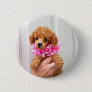 Abriot Poodle Dog Pinback Button