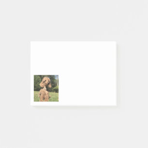 Abriot post-it® notes
