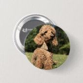 Abriot ronde button 5,7 cm (Voorkant /achterkant)