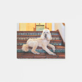Abriot Standard Poodle - Bocelli Post-it® Notes (Voorkant)