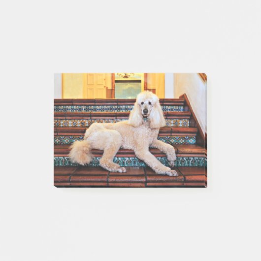 Abriot Standard Poodle - Bocelli Post-it® Notes (Voorkant)