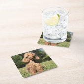 Abriot  vierkante kartonnen onderzetter (Insitu)