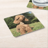 Abriot  vierkante kartonnen onderzetter (Schuin)